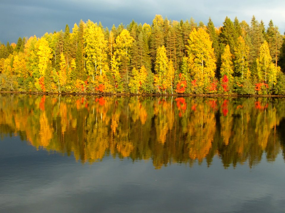 Autumn Colors Reflected In A Lake