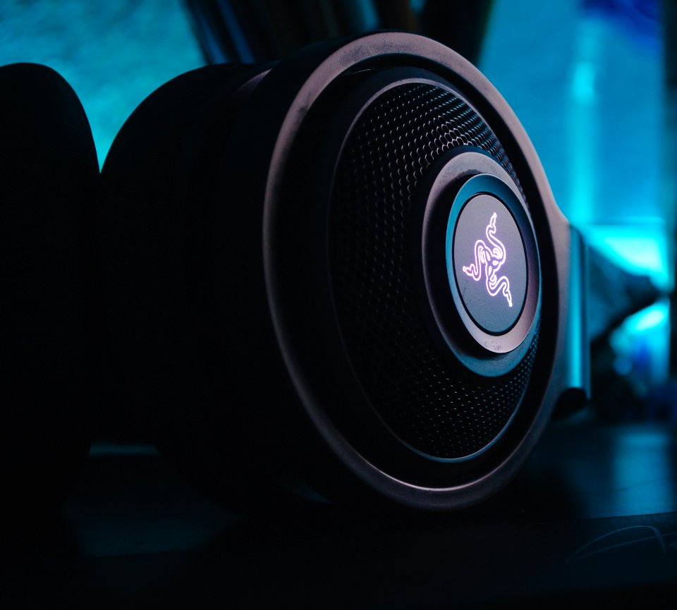 Close Up Of Speaker