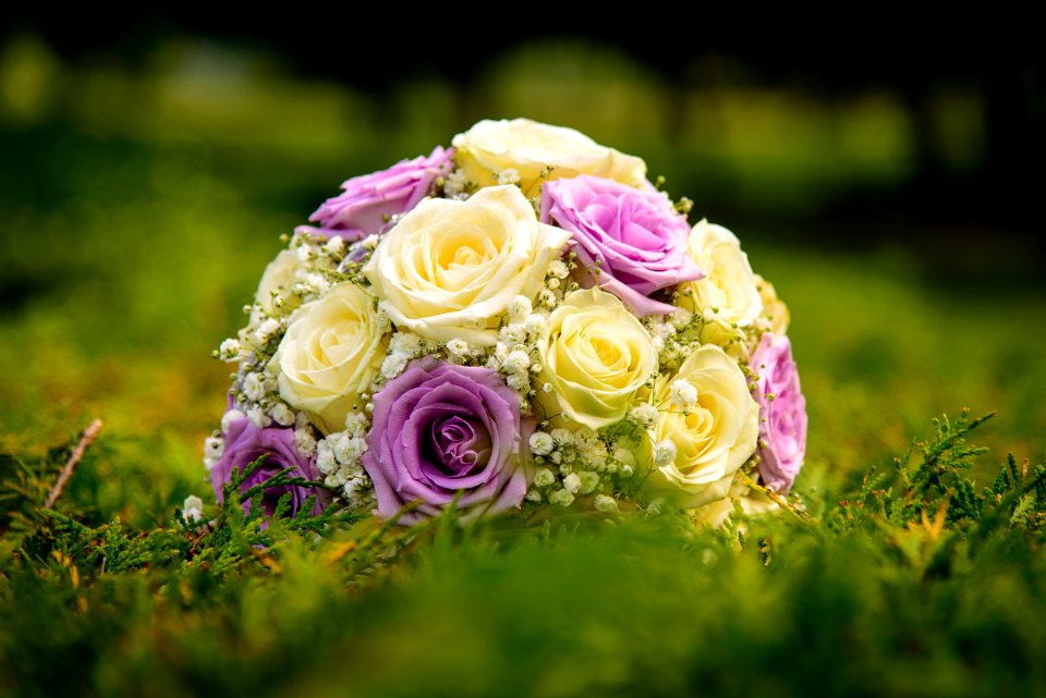 Yellow And Pink Rose Ornament