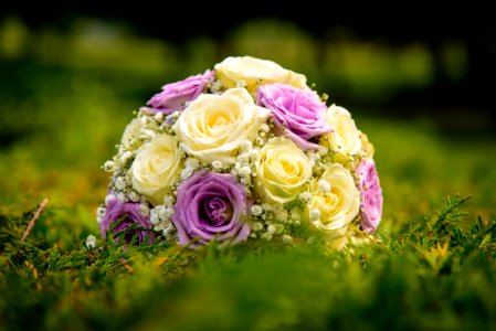 Yellow And Pink Rose Ornament