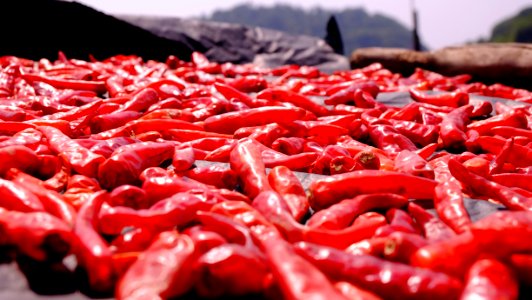 Pile Of Red Chilli Pepper photo