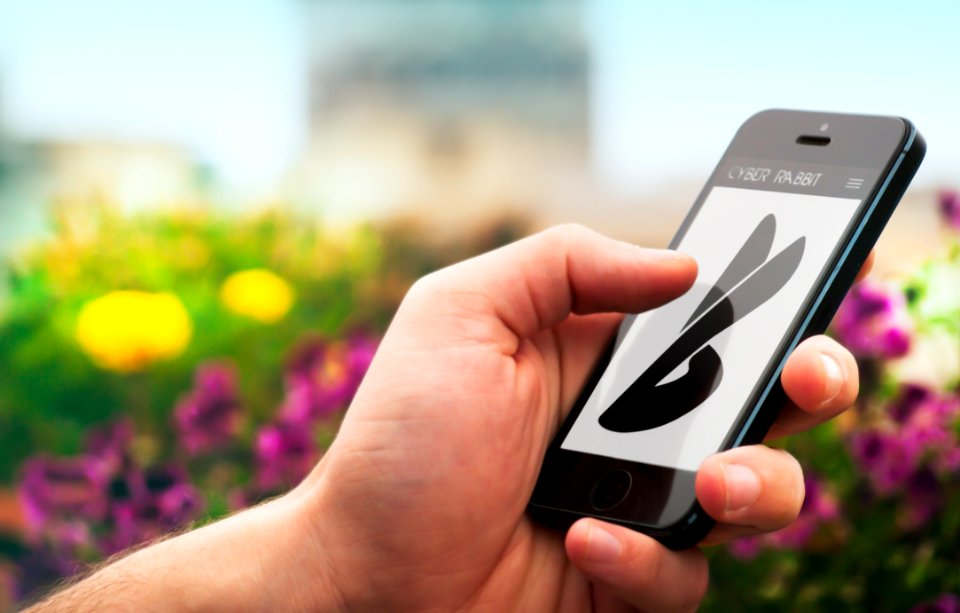 Hand Holding Smartphone From Cyber Rabbit