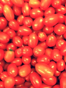Tomato Fruit