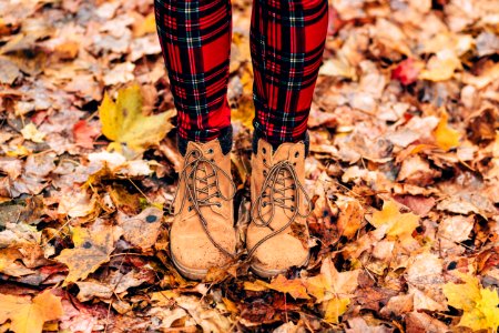 Person Wearing Brown Timberland Work Boots photo