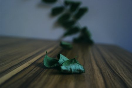 Green Leaf
