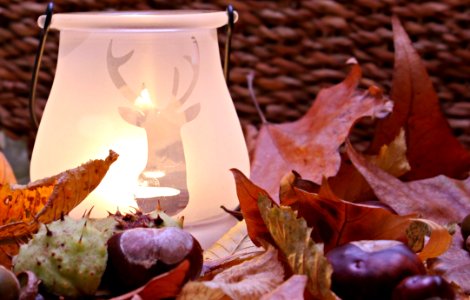 White Ceramic Lamp With Deer Cutout Near Leaves