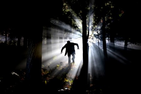 Silhouette Of Man Running On Forest photo