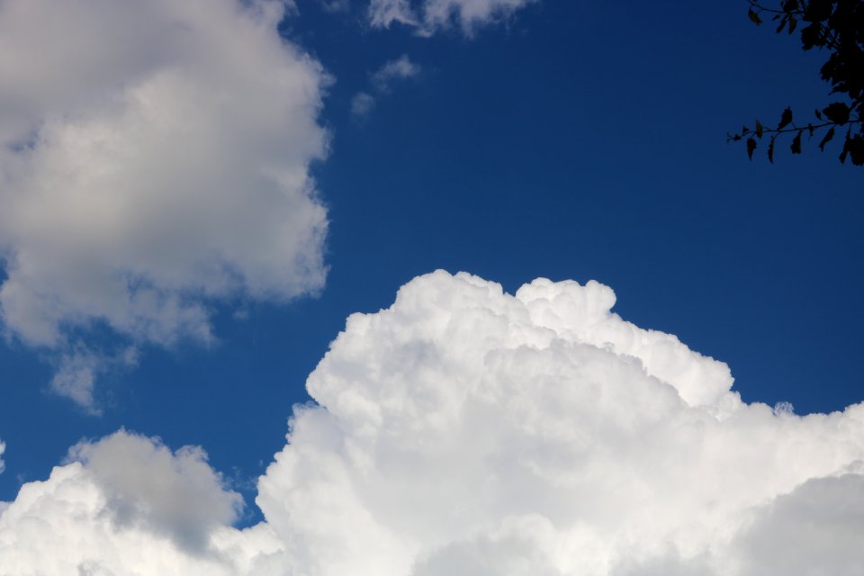White Clouds