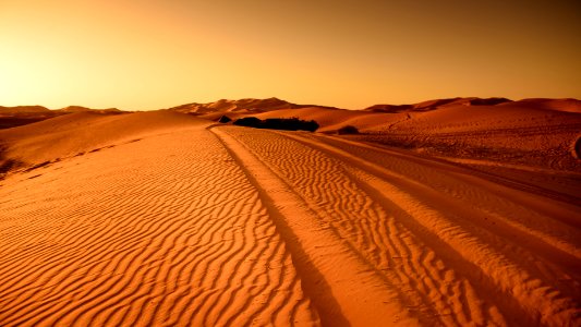 Tracks Through Desert photo