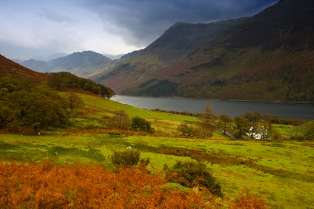 Meadow By River