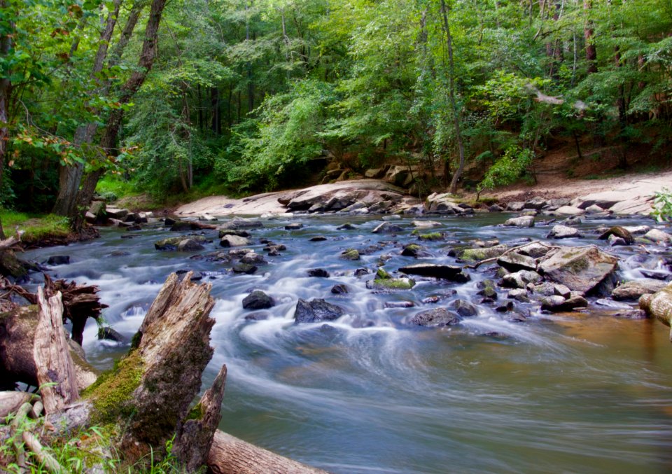 Stream In A Forest With Grey Rocks
