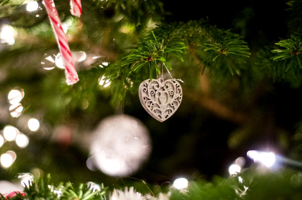 Heart Shaped Ornament