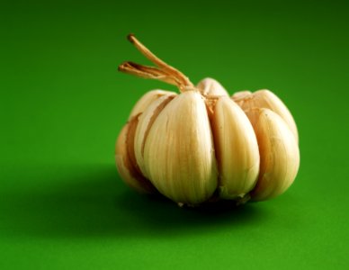 Garlic Clove photo