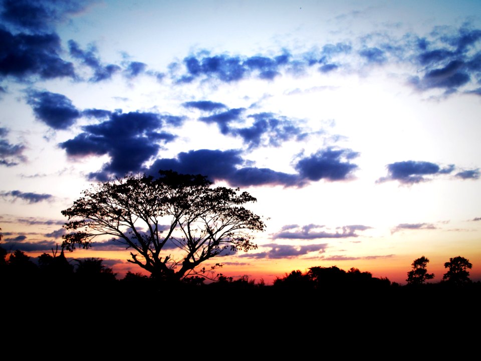 Photo Of Sunset