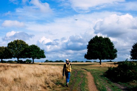 Person In Yellow And Black Backpack Walking On Green Grass Field Under Cloudy Blue Sky During Daytime photo