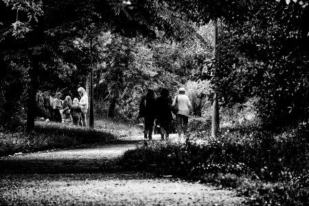 Black And White Photo Of 3 Woman Walking In Forest photo