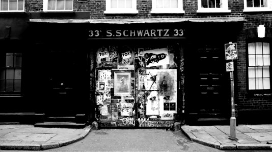 33 Sschwartz 33 In Grayscale Photography photo