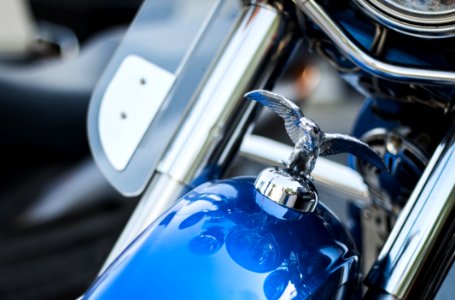 Harley Davidson Emblem On Top Front Of Blue Motorcycle photo