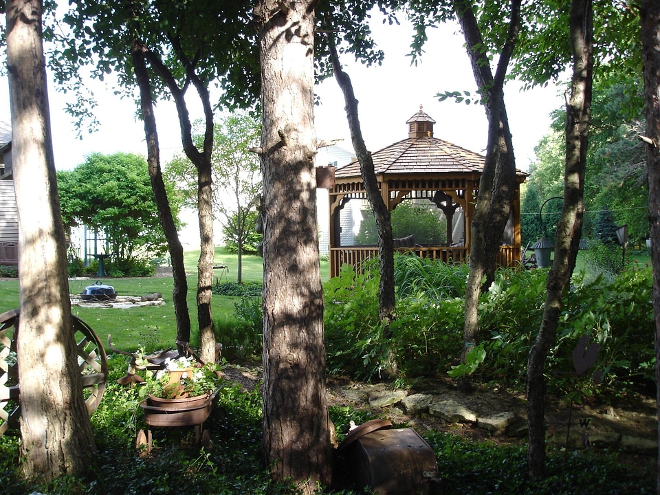 Backyard trees shelter
