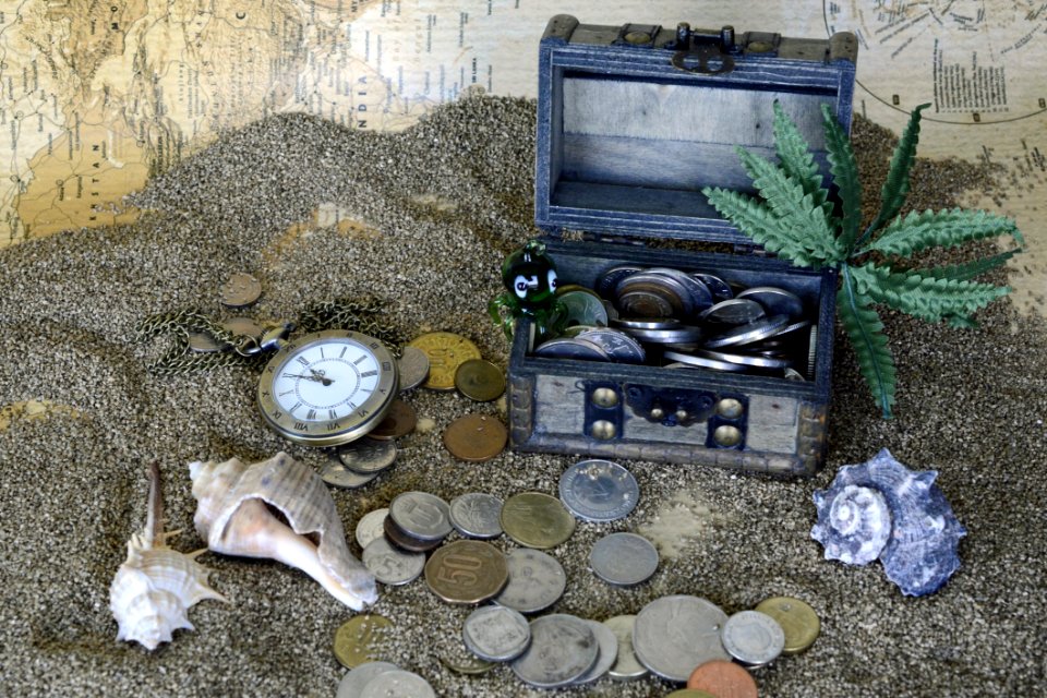 Gray Wooden Coin Box With Green Leaf Plant On Gray Sand