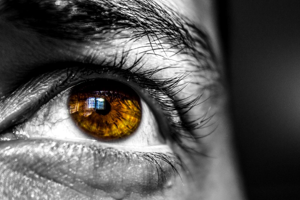 Brown Eye On Black And White Face