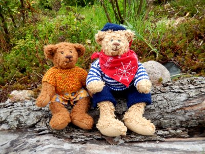 2 Brown Teddy Bear photo