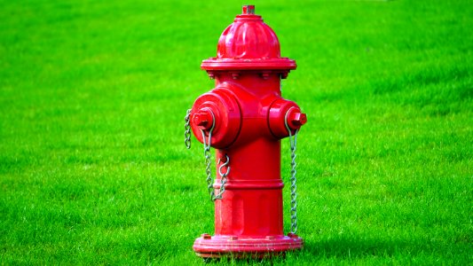 Red Fire Hydrant On Green Grass Field photo