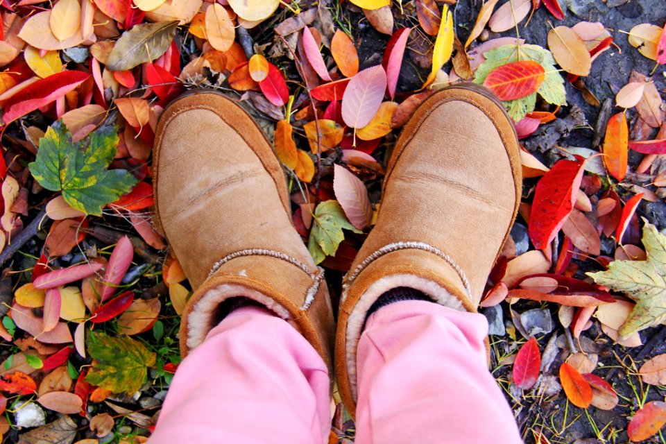 Person In Brown Sheepskin Boots And Pink Pants Standing On Leaf Covered Ground