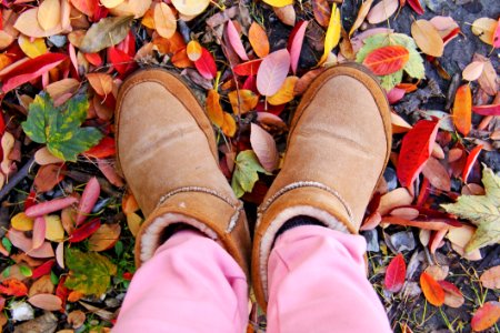 Person In Brown Sheepskin Boots And Pink Pants Standing On Leaf Covered Ground photo