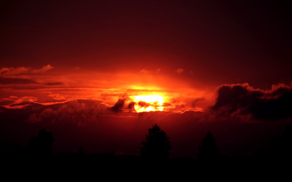 Silhouette Photo Of A Sky And Trees