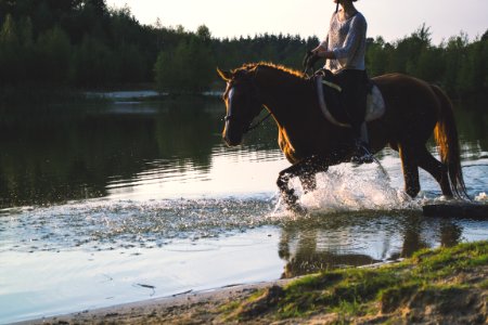 Woman Riding A Horse photo