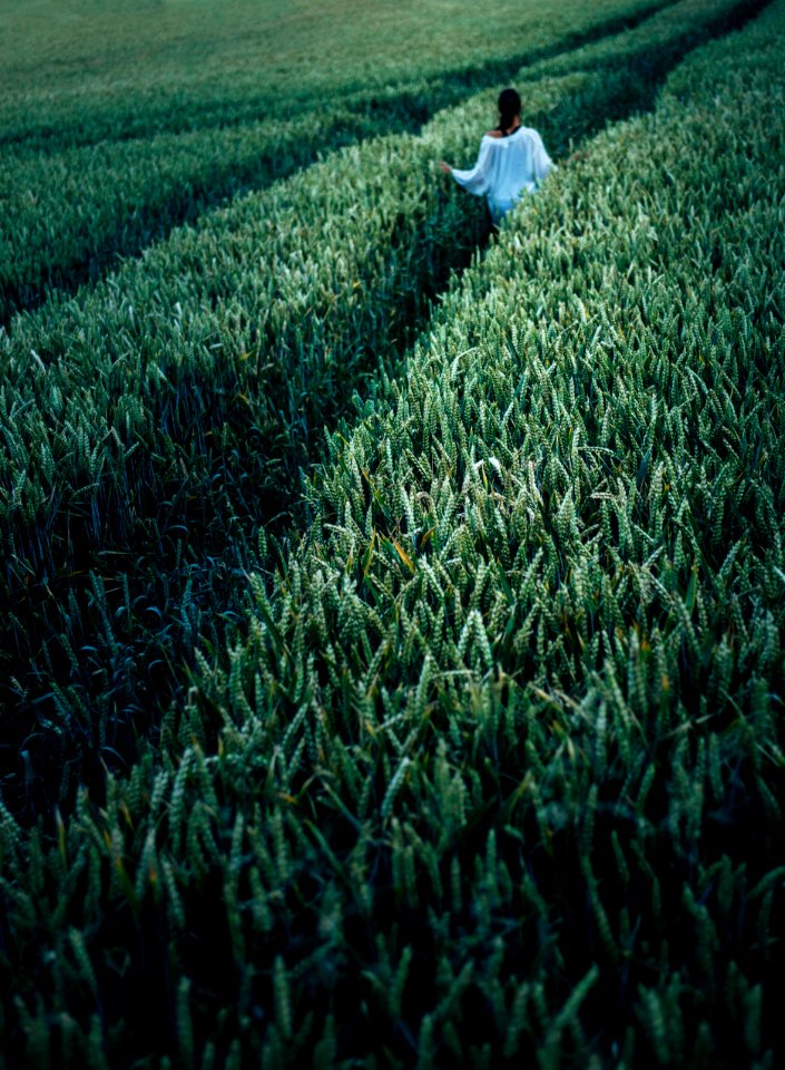 Person In The Field