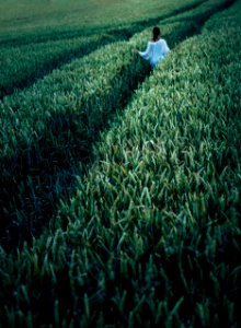 Person In The Field