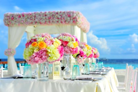 Yellow And Pink Petaled Flowers On Table Near Ocean Under Blue Sky At Daytime photo