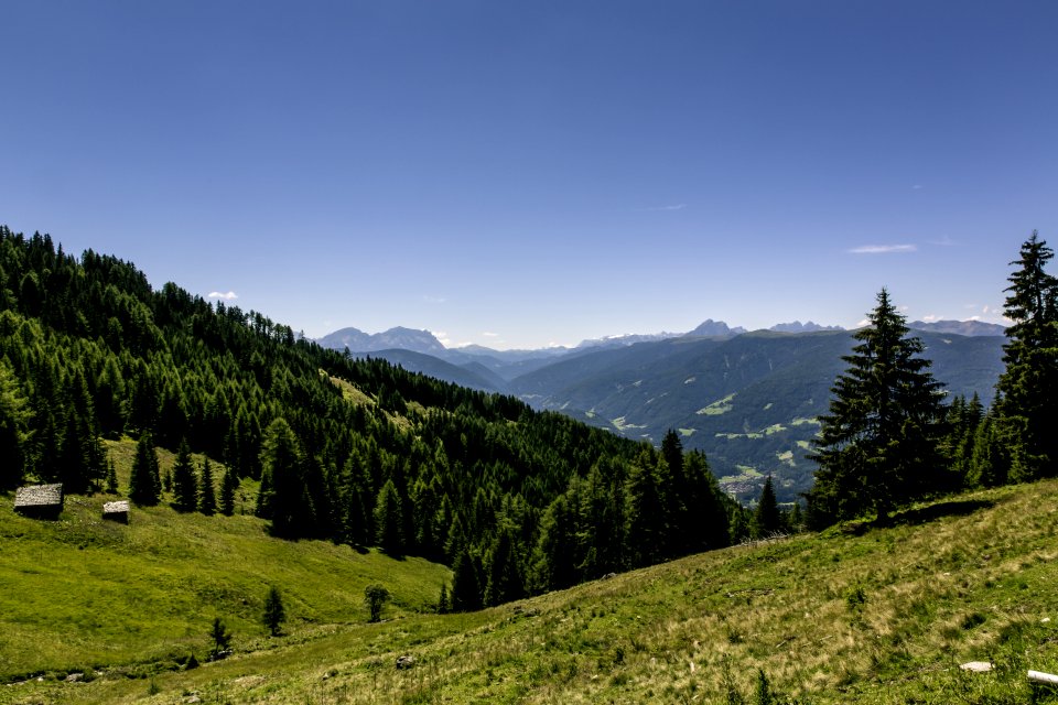 Pine Trees On Mountain Under Blue Sky During Daytime photo