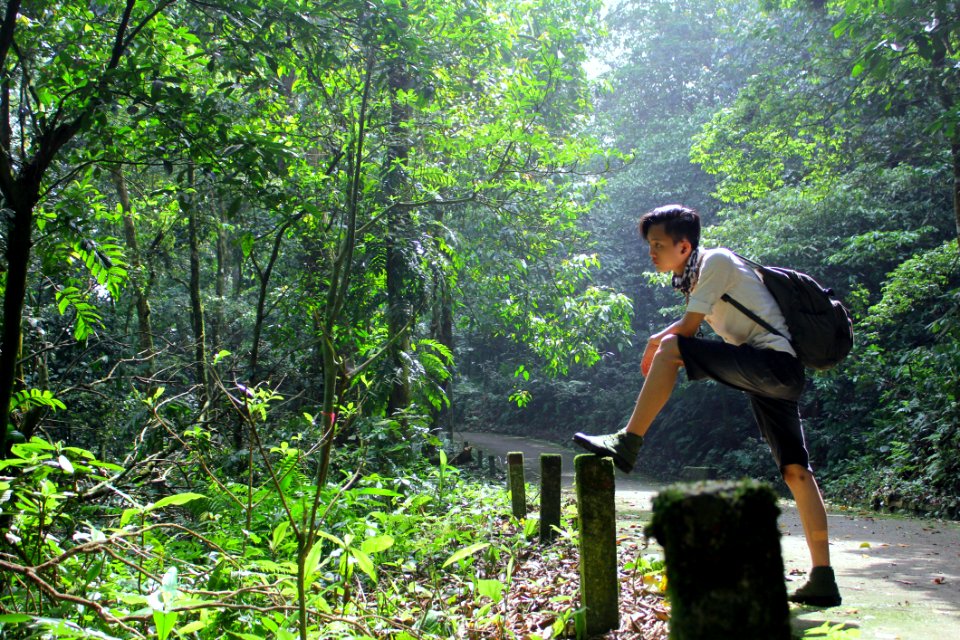 Boy Standing In Black Backpack Standing Near The Fence