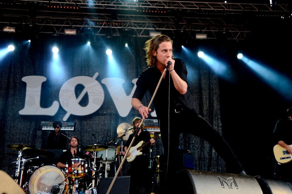 Person Holding A Microphone While Singing At Stage