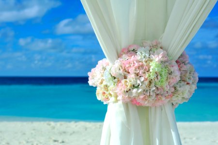 Pink White Petal Flower On White Curtain Near White Sand Beach On Daytime photo