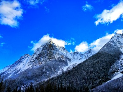 Gray Rocky Mountain Beside Pine Tree Under Blue Cloudy Sky During Day Time photo