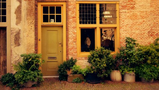 House Terrace With Green Leaf Plants During Daytime