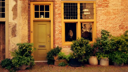 House Terrace With Green Leaf Plants During Daytime photo