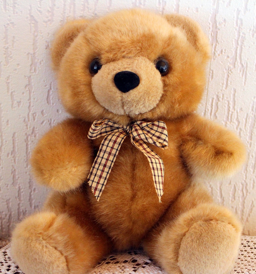 Bears soft toy cute