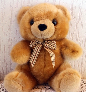 Bears soft toy cute