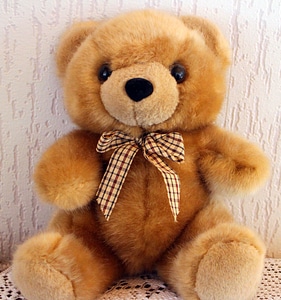 Bears soft toy cute photo