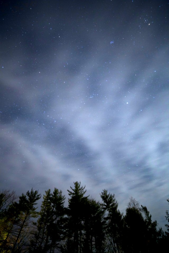 Stars Over A Forest At Night