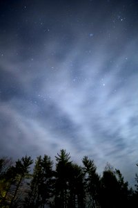Stars Over A Forest At Night