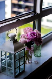 Candle Lantern Near Purple Petaled Flower On Glass Window photo