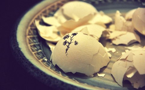 Petaled Flower Drawing On White Egg Shell