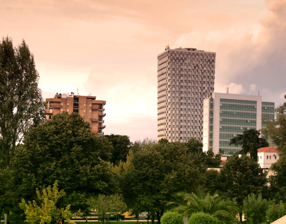 High Rise Buildings Near Green Leaf Trees Under White Sky During Daytime photo