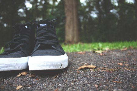 Black And White High Top Sneakers photo